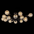 Потолочная люстра SL419.402.16 Ano Evoluce (13)