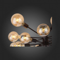 Потолочная люстра SL419.402.16 Ano Evoluce (17)