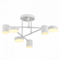 Потолочный светильник SLE201052-06 Nobel Evoluce (9)