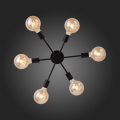 Потолочная люстра SL419.402.06 Ano Evoluce (20)