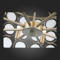 Подвесная люстра SL1105.203.08 Seranda ST Luce (8)
