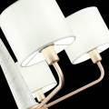 Подвесная люстра SL1163.203.05 Vellino ST Luce (10)