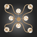 Подвесная люстра SL1502.203.08 Legatezza ST Luce (11)