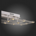 Потолочный светильник SL798.102.21 Genetica ST Luce (11)