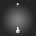 Подвесной светильник ST102.503.12 Panaggio ST Luce (5)