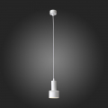 Подвесной светильник ST102.503.12 Panaggio ST Luce (8)