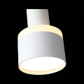 Подвесной светильник ST102.503.12 Panaggio ST Luce (10)