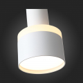 Подвесной светильник ST102.503.12 Panaggio ST Luce (11)
