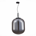 Подвесной светильник SL1050.723.01 Burasca ST Luce (6)