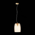 Подвесной светильник SL1051.213.01 Barillo ST Luce (4)
