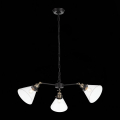 Подвесной светильник SL237.413.03 Evoluto ST Luce (2)