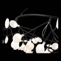 Подвесная люстра SL411.463.63 Riccardo ST Luce (10)