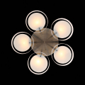 Потолочный светильник SL483.352.05 ForeSTa Evoluce (10)