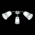 Потолочная люстра SLE103002-03 Maleonte Evoluce (2)