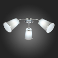 Потолочная люстра SLE103002-03 Maleonte Evoluce (3)