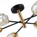 Потолочная люстра SLE155502-06 Gloa Evoluce (12)