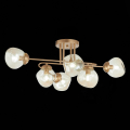 Потолочная люстра SLE155702-06 More Evoluce (2)