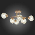 Потолочная люстра SLE155702-06 More Evoluce (3)