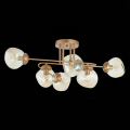 Потолочная люстра SLE155702-06 More Evoluce (4)