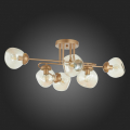Потолочная люстра SLE155702-06 More Evoluce (5)
