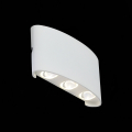 Уличный настенный светильник SL089.501.06 Bisello ST Luce (2)