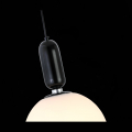 Подвесной светильник SL1220.403.01 Rietta ST Luce (4)