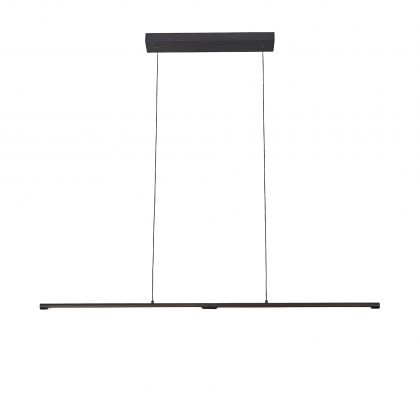 Подвесной светильник SL1580.403.01 Ralio ST Luce