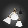 Подвесная люстра SL237.413.05 Evoluto ST Luce (8)