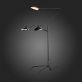 Торшер SL305.405.03 Spruzzo ST Luce (3)