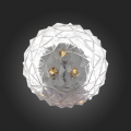 Потолочный светильник SL326.102.03 Brill ST Luce (5)