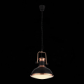 Подвесной светильник SL404.403.01 Lanterio ST Luce (2)