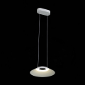Подвесной светильник SL427.503.01 Pitto ST Luce (4)