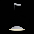 Подвесной светильник SL427.513.01 Pitto ST Luce (2)