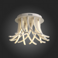 Потолочная люстра SL827.502.20 Filiali ST Luce (3)