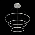 Подвесная люстра SL904.503.03 Erto ST Luce (4)