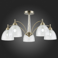 Потолочная люстра SLE104402-05 Nuele Evoluce (3)