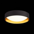 Потолочный светильник SLE201102-01 Orbio Evoluce (2)