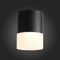 Потолочный светильник ST100.402.15 Ottu ST Luce (3)