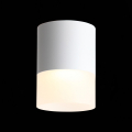 Потолочный светильник ST100.502.15 Ottu ST Luce (2)