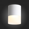 Потолочный светильник ST100.502.15 Ottu ST Luce (3)