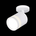Потолочный светильник ST101.572.05 Cerione ST Luce (2)