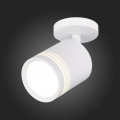 Потолочный светильник ST101.572.05 Cerione ST Luce (3)