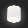 Потолочный светильник ST102.542.09 Panaggio ST Luce (3)