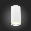 Потолочный светильник ST110.507.01 Simplus ST Luce (3)