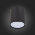 Потолочный светильник ST113.432.05 Rene ST Luce (5)