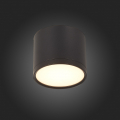 Потолочный светильник ST113.432.09 Rene ST Luce (3)
