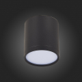 Потолочный светильник ST113.442.05 Rene ST Luce (5)