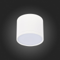 Потолочный светильник ST113.532.09 Rene ST Luce (5)