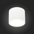 Потолочный светильник ST113.542.09 Rene ST Luce (3)