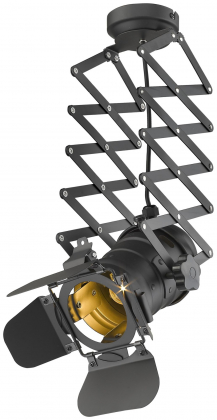 Потолочный светильник WE290.01.007 Lenken Wertmark